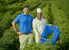 Premium quality chilly