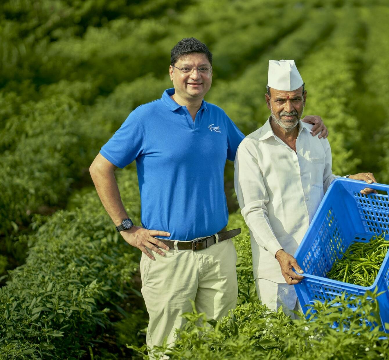 picking chilli in farm