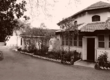 Birth of Ferns' Pickles List-03